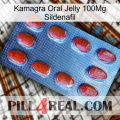 Kamagra Oral Jelly 100Mg Sildenafil 06